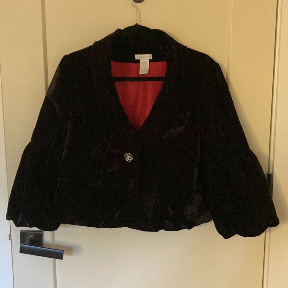 Velvety Jacket - image 1